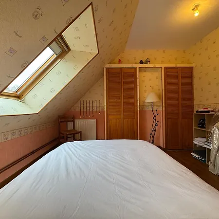 Homestay Le Repaire Des Bolides - 24h Du Mans - 6p - Wi-fi *